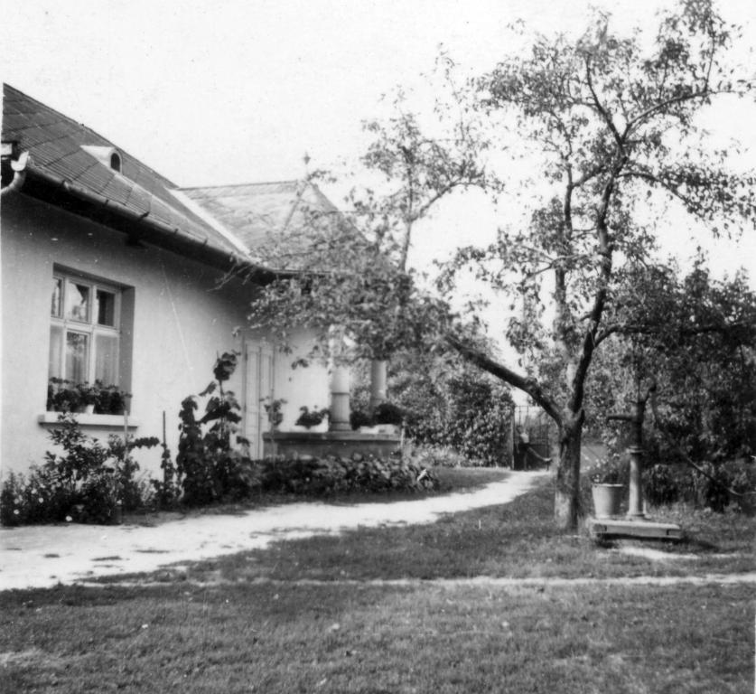 Turjan Vendeghaz Hotel Erdőbénye Exterior foto