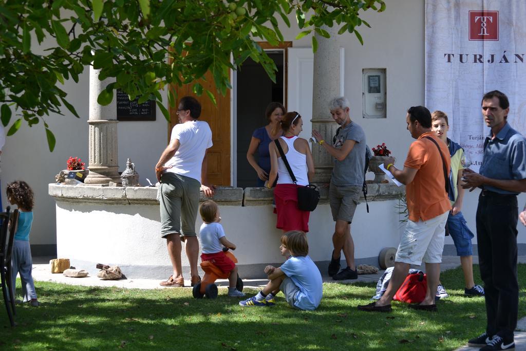 Turjan Vendeghaz Hotel Erdőbénye Exterior foto