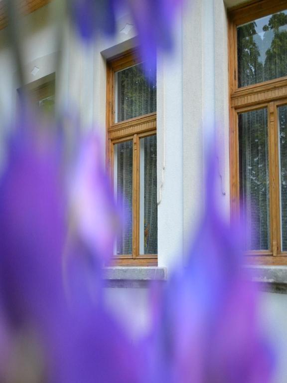 Turjan Vendeghaz Hotel Erdőbénye Exterior foto