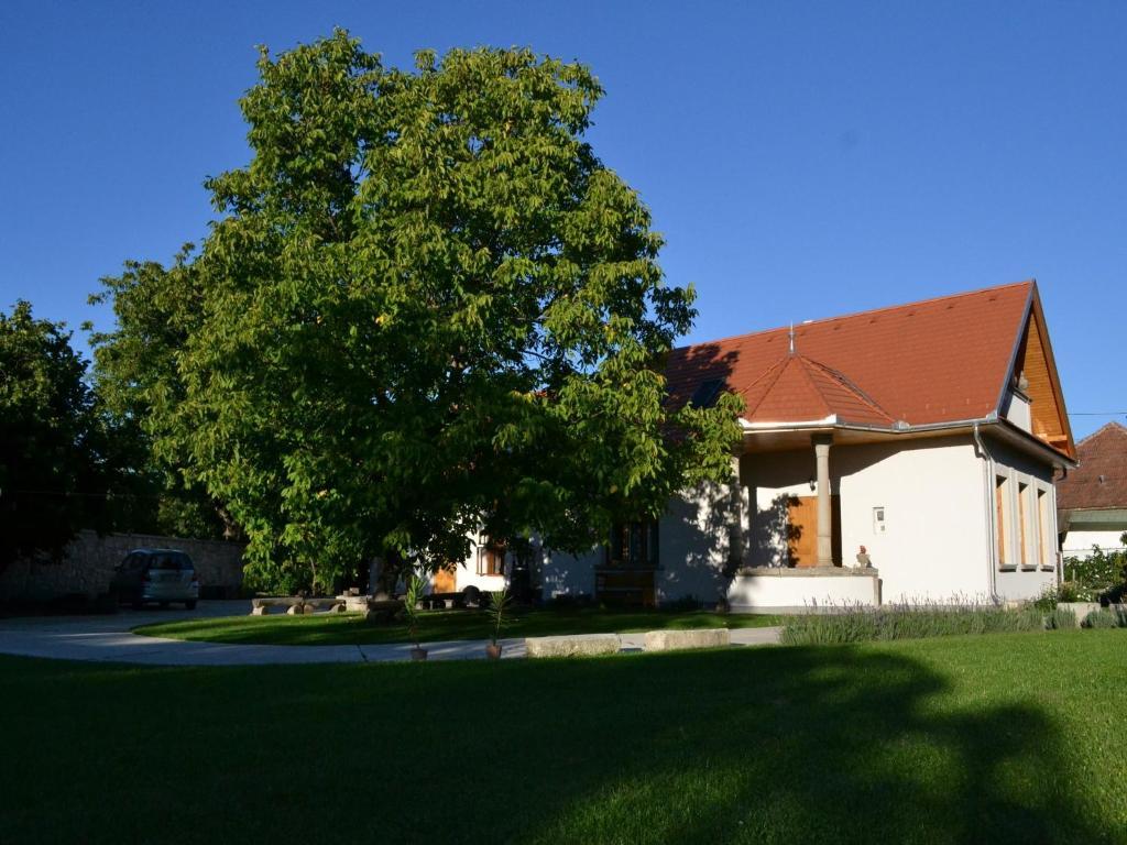 Turjan Vendeghaz Hotel Erdőbénye Exterior foto