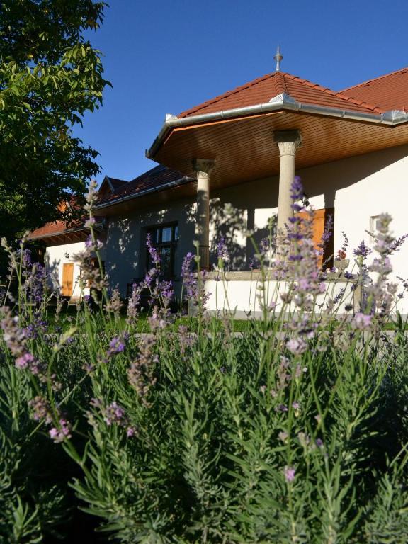 Turjan Vendeghaz Hotel Erdőbénye Exterior foto