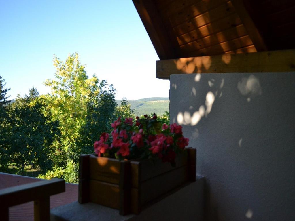 Turjan Vendeghaz Hotel Erdőbénye Exterior foto