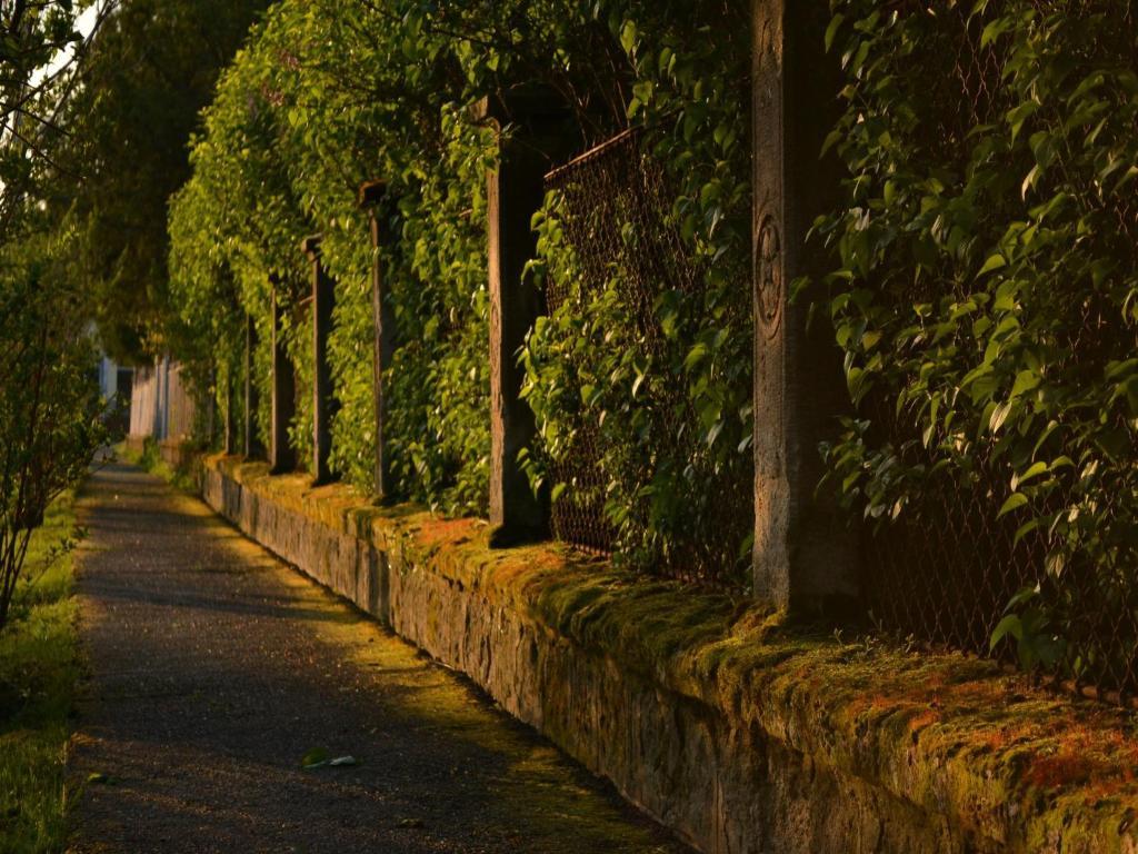 Turjan Vendeghaz Hotel Erdőbénye Exterior foto